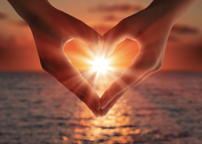 screen-shot-2016-12-12-at-2-18-13-pm